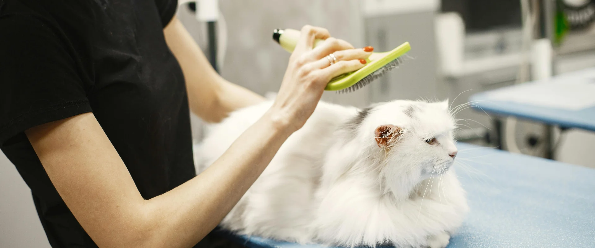 Tierpflege & Hygiene