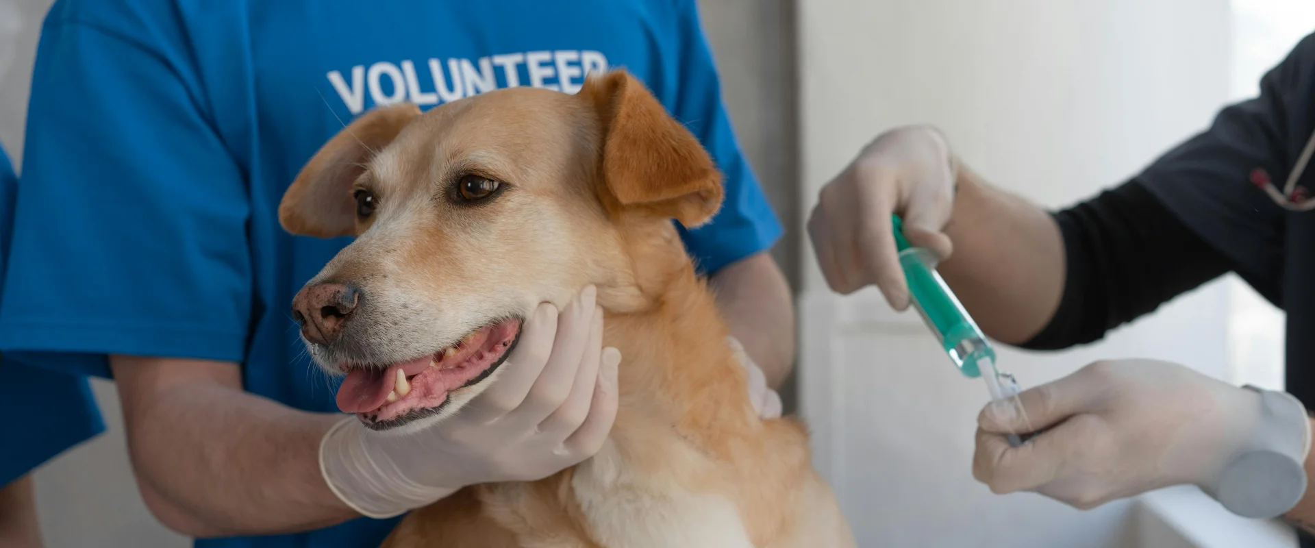 Tiermedizin & Gesundheit