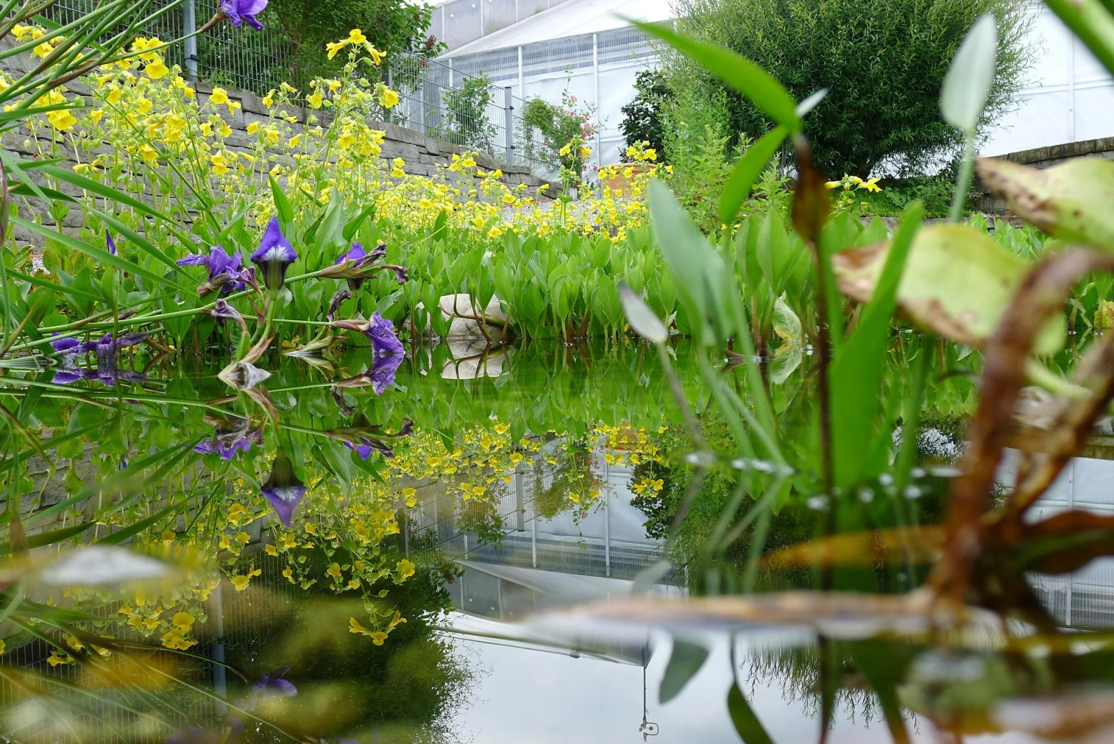 Galeriebild 1 von HUG GARDEN AG