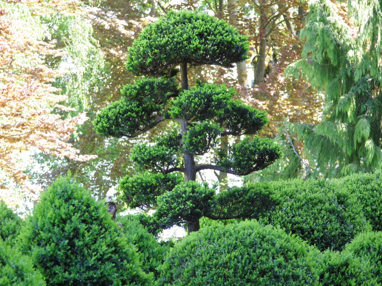 Galeriebild 3 von Reutimann Gartengestaltung GmbH