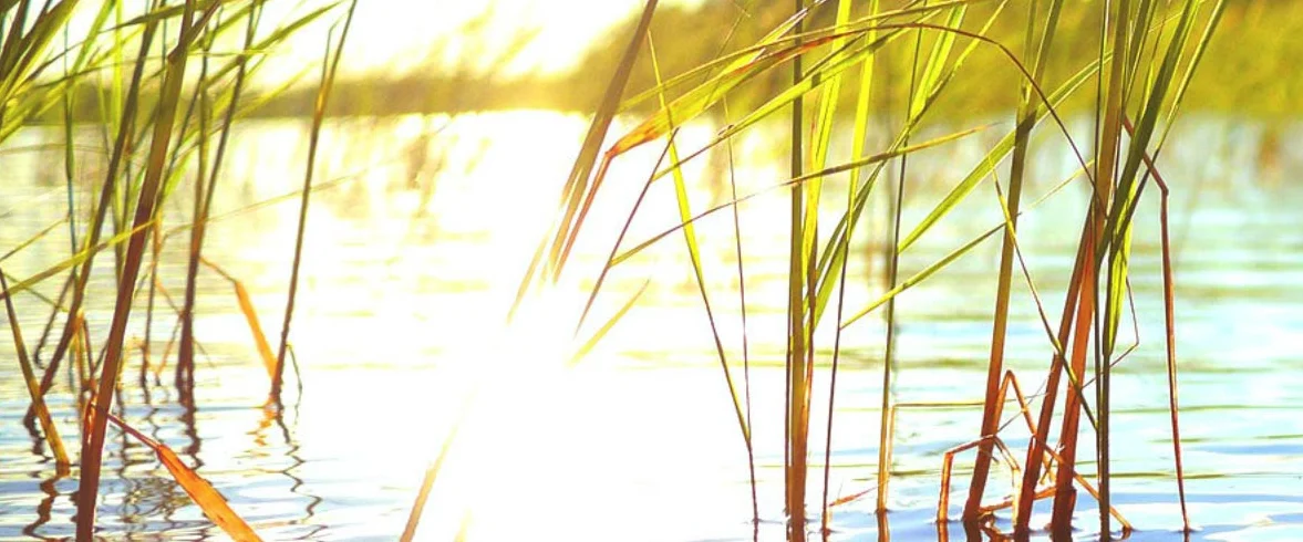 Psychotherapie Gaby Studer